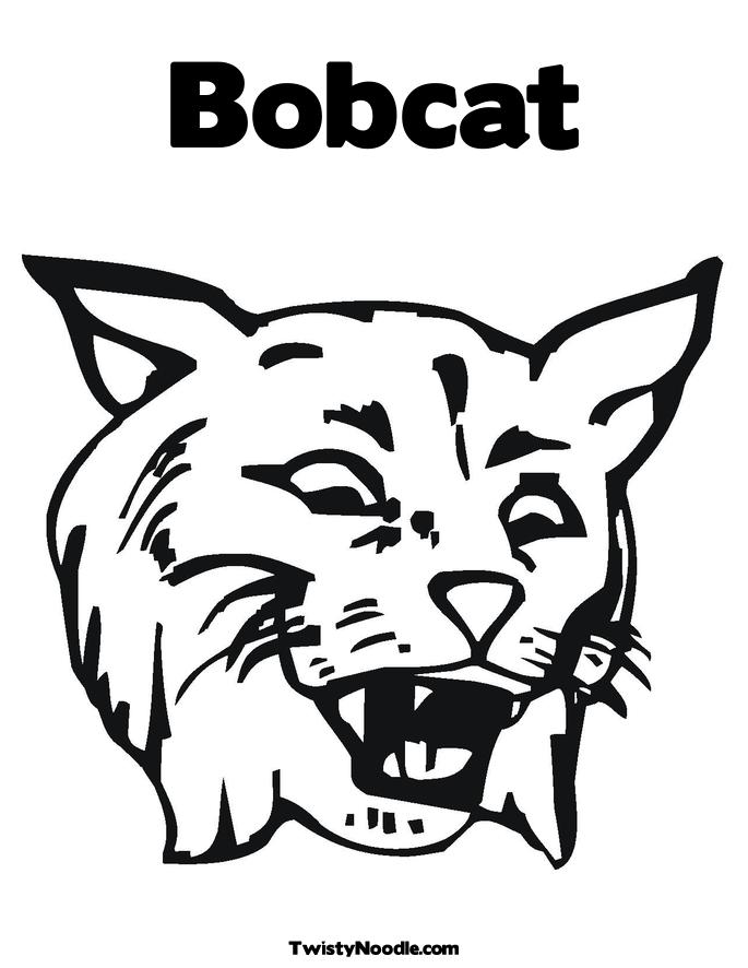 baby bobcat coloring pages - photo #24