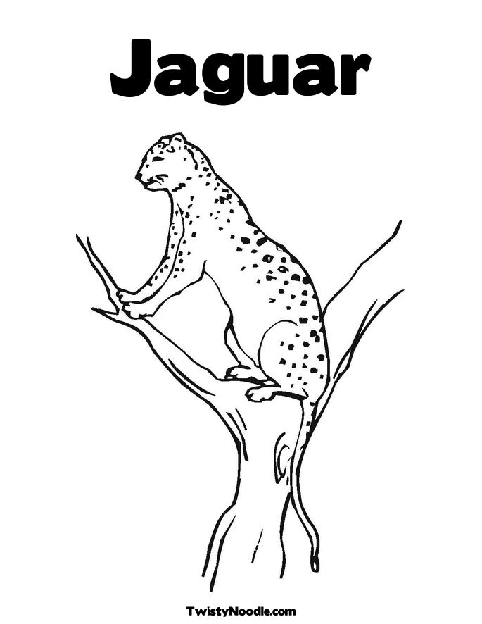 jacksonville jaguars coloring pages - photo #21