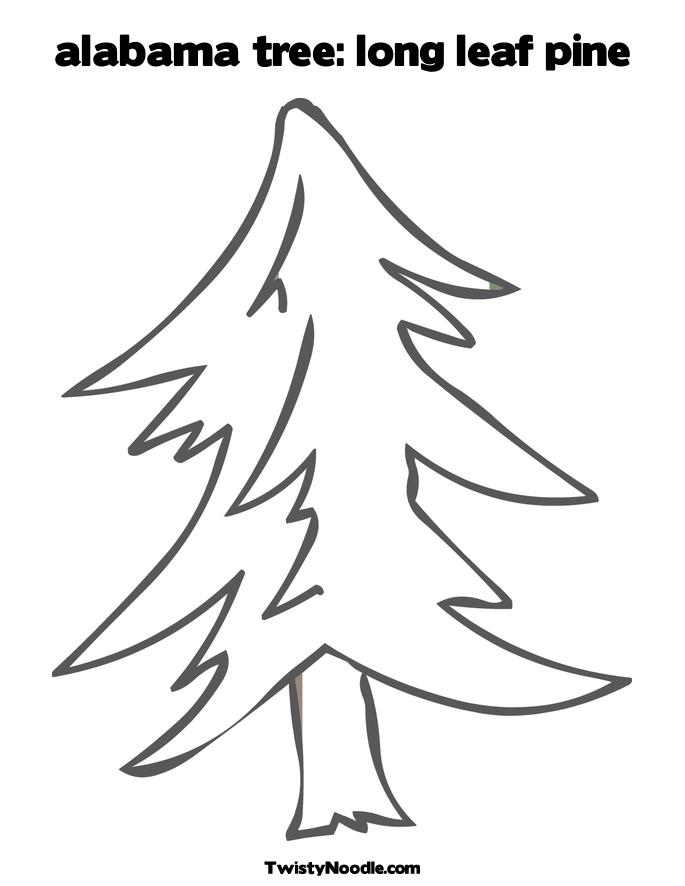 evergreen tree coloring pages - photo #16