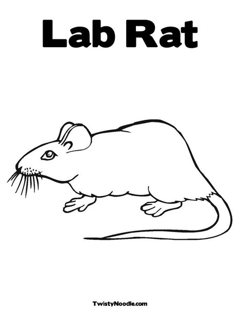 lab rats coloring pages - photo #3