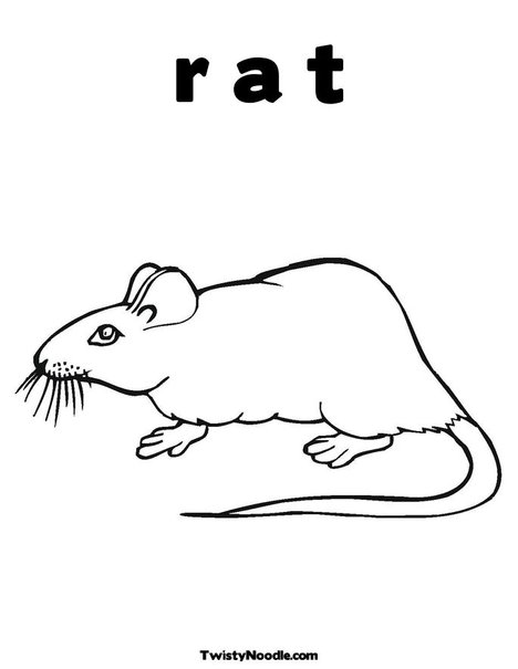 naked mole rat coloring pages - photo #18