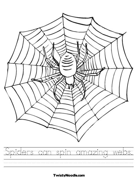 food web worksheet. Spider with Web Worksheet