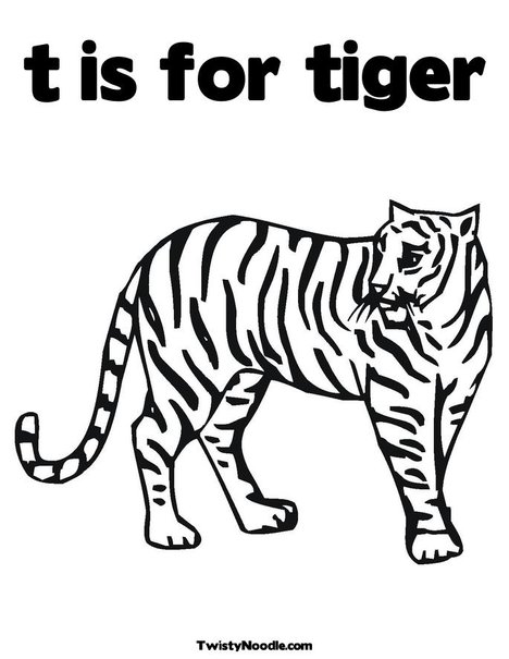 Tiger S Statement: is for