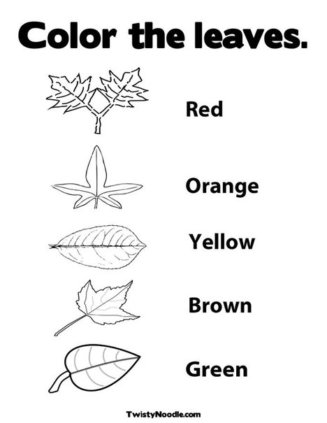 Leaf Coloring Pages - Blog - Twisty Noodle